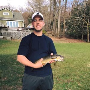 Meet your Posher, Khristopher